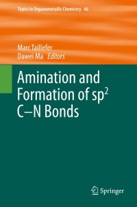 Image of Amination and formation of sp2 C-N bonds